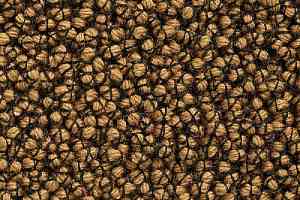 Ковролин Best Wool Nature Vivaldi I-AB Flavoured Ginger фото  | FLOORDEALER